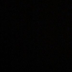 Meet your Posher, Lila